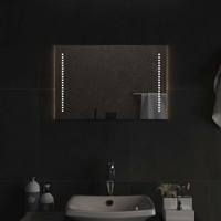 vidaXL LED Bathroom Mirror 60x40 cm