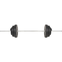vidaXL Barbell with Plates 60 kg
