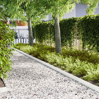 vidaXL Lawn Edging 50 pcs White 100 x 0.05 x 15 cm Cold Rolled Steel