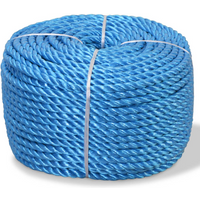 vidaXL Twisted Rope Polypropylene 14 mm 100 m Blue