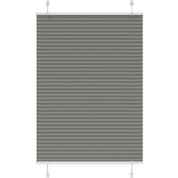 vidaXL Pleated Blind Anthracite 100x150 cm Fabric Width 99.4 cm Polyester