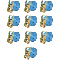 vidaXL Ratchet Tie Down Straps 10 pcs 2 Tonnes 6mx38mm Blue