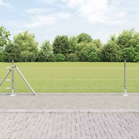 vidaXL Fence Post Silver 100 x 0.4 m (36 mm mesh) Steel
