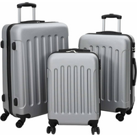 vidaXL Suitcase with Lock 3 pcs Silver 50 x 31 x 78 cm ABS Plastic