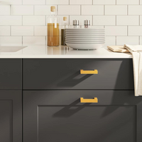 vidaXL Cabinet Handles 10 pcs Gold 64 mm Stainless Steel