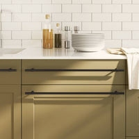 vidaXL Cabinet Handles 5 pcs Black 480 mm Stainless Steel