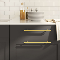 vidaXL Cabinet Handles 10 pcs Gold 224 mm Stainless Steel