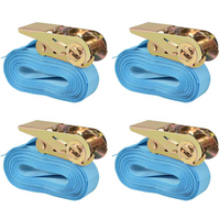 vidaXL Ratchet Tie Down Straps 4 pcs 0.8 Tonnes 6mx25mm Blue