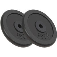 vidaXL Weight Plates 2 pcs 2x15 kg Cast Iron