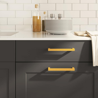 vidaXL Cabinet Handles 10 pcs Gold 160 mm Stainless Steel