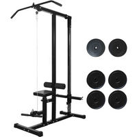 vidaXL Power Tower with Weight Plates 40 kg