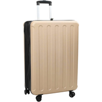 vidaXL Suitcase Folding Champagne 50 x 30 x 76 cm ABS Plastic