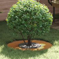 vidaXL suitable for Flat Tree Ring Brown Ø30 / 60 cm Weathering Steel