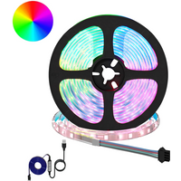 vidaXL LED Strip 2 pcs Black and Transparent 5500 mm