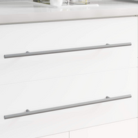 vidaXL Handle 12 pcs Silver 500 mm Steel
