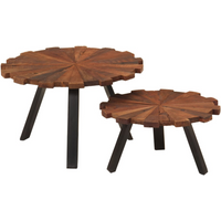 vidaXL Coffee Tables 2 pcs Solid Wood Reclaimed and Iron