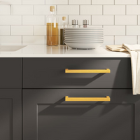 vidaXL Cabinet Handles 20 pcs Gold 192 mm Stainless Steel