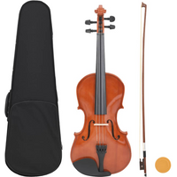 vidaXL Violin Full Set with Bow and Chin Rest Dark Wood 4/4