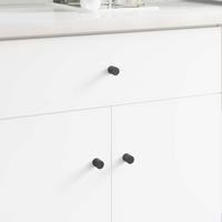 vidaXL Cabinet Knob 1011 pcs Black Iron