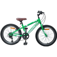 vidaXL Mountain Bike 20'' 6-Speed for 5-8 Years Old Green