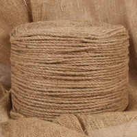 vidaXL Jute Rope 250 m Long 8 mm Thick
