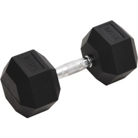 vidaXL Dumbbell 27.5 kg Cast Iron