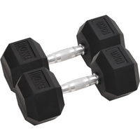 vidaXL Dumbbells 2 pcs 20 kg Total Cast Iron