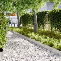 vidaXL Lawn Edging 30 pcs Silver 100 x 0.05 x 20 cm Stainless Steel