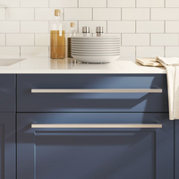 vidaXL Cabinet Handles 10 pcs Silver 480 mm Stainless Steel