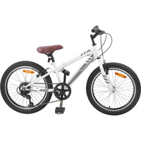 vidaXL Mountain Bike 20'' 6-Speed for 5-8 Years Old White