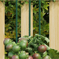 vidaXL Garden Plant Stakes 30 pcs Green 90 cm Steel