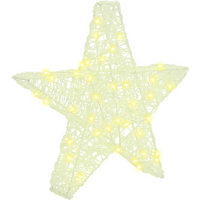 vidaXL 3D Star with 50 LEDs Warm white 55 x 53.5 x 10 cm Acrylic