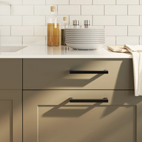 vidaXL Cabinet Handles 20 pcs Black 160 mm Stainless Steel