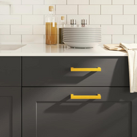 vidaXL Cabinet Handles 10 pcs Gold 128 mm Stainless Steel