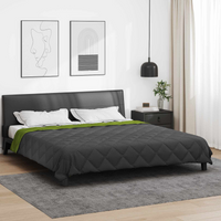 vidaXL Summer Duvet Green and Anthracite 220 x 260 cm Microfiber