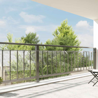 vidaXL Clear Tarpaulin with Eyelets 1x10 m PVC