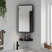 vidaXL Corner Bathroom Mirror Cabinet Grey 30x24x60 cm