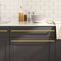 vidaXL Cabinet Handles 5 pcs Gold 480 mm Stainless Steel