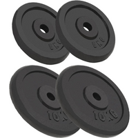 vidaXL Weight Plates 4 pcs 2x10 kg+2x5 kg Cast Iron