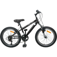 vidaXL Kids Mountain Bike 20'' 6-Speed for 5-8 Years Old Black