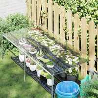 vidaXL Tarpaulin with Eyelets Transparent 1 x 2 m Polyethylene