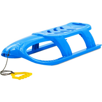vidaXL Sledge for Children Blue 102.5x40x23 cm Polypropylene