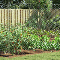 vidaXL Chain Link Fence Galvanised 2 x 10 m Glass