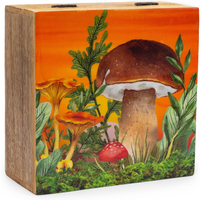 Big Square Box 15x17.5x8cm - Mushroom Design Maroon
