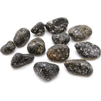 Medium African Tumble Stones - Guinea Fowl Medium