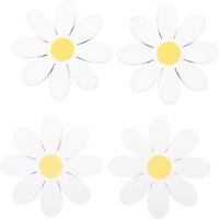 Set of 4 Daisy Shaped Coasters