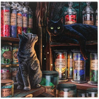 Magical Emporium Light Up Canvas Plaque by Lisa Parker