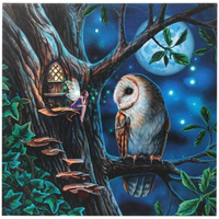 Fairy Tales Light Up Canvas Plaque by Lisa Parker