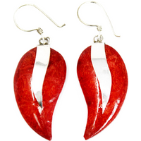 925 Silver Earrings - Mangos