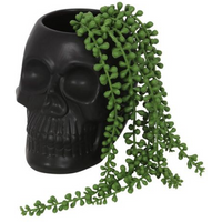 Black Skull Plant Pot